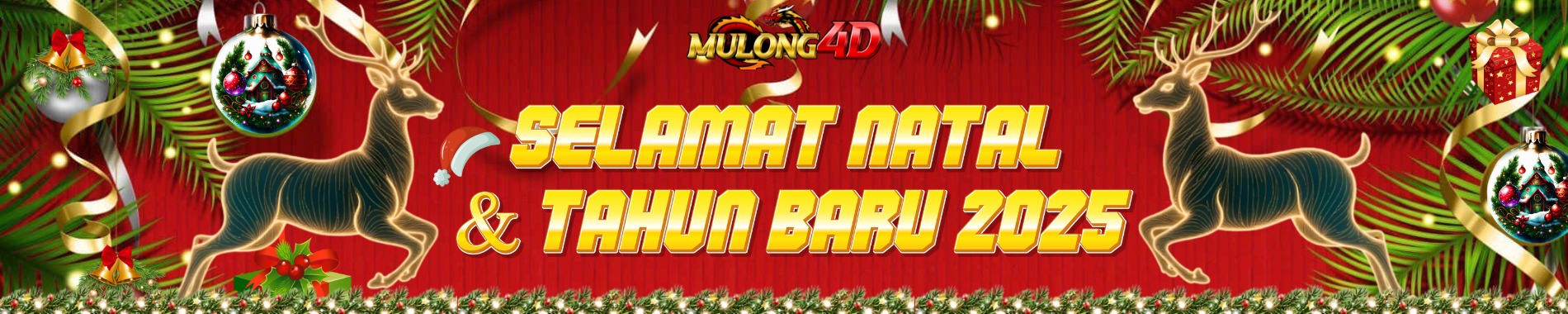 MULONG4D